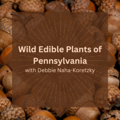 Wild Edible Plants of Pennsylvania
