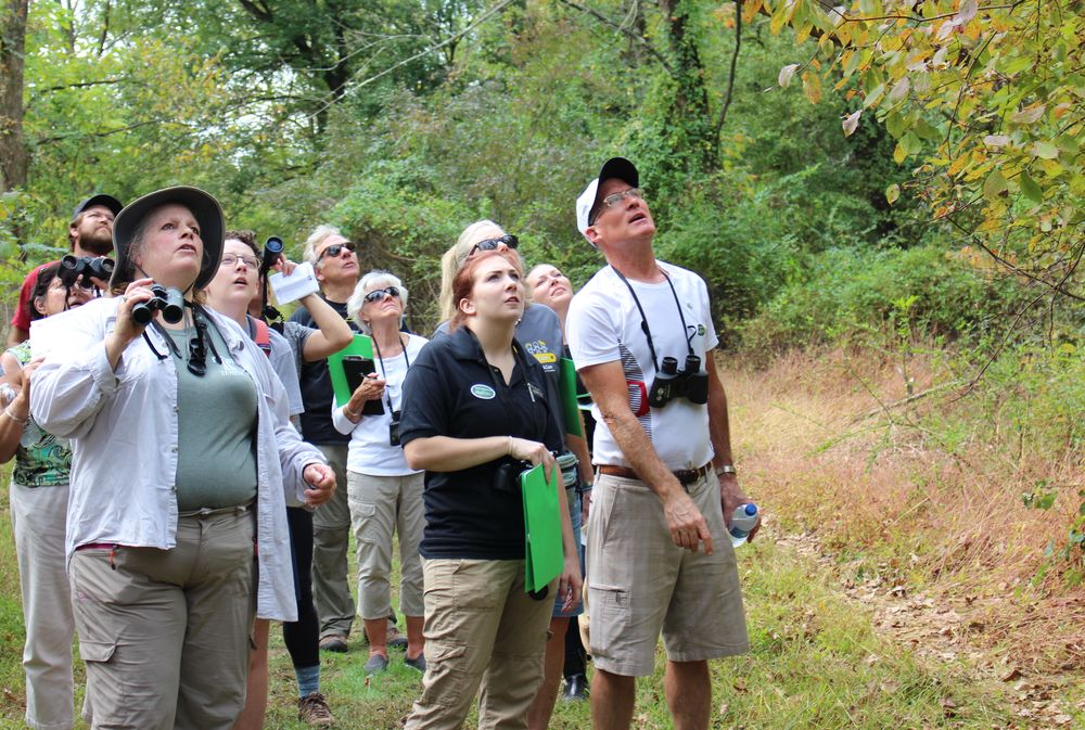 people conducting a citizen science investigation, bird watching with binoculars