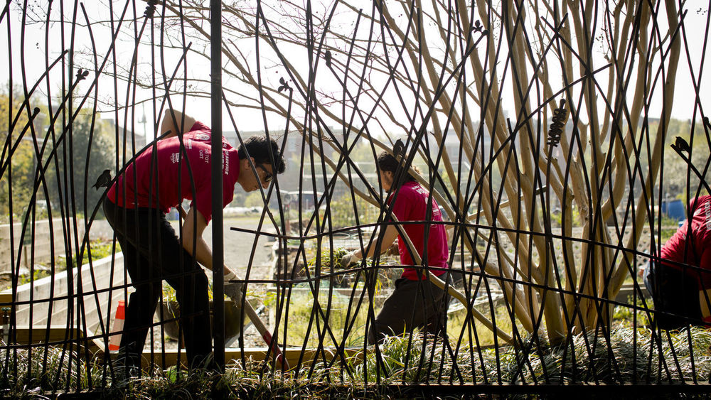 Tyler School of Art students work on an environmental project.