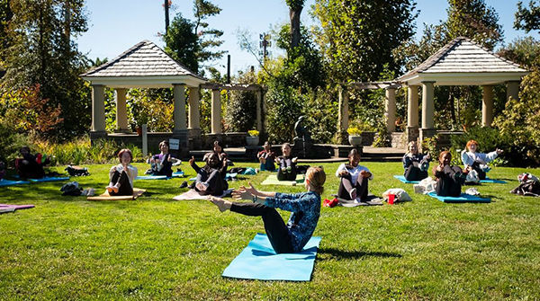 Yoga in the Gardens