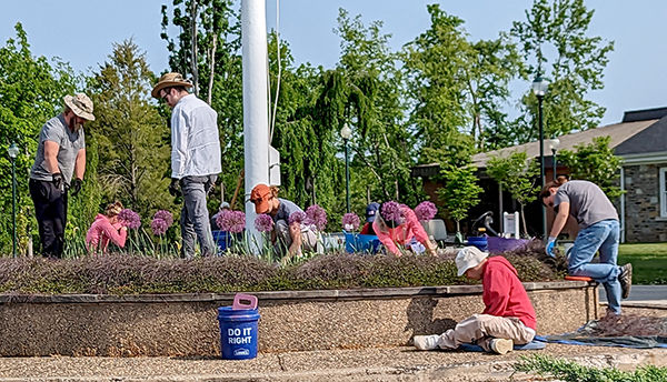 Volunteers in the Ambler Arboretum