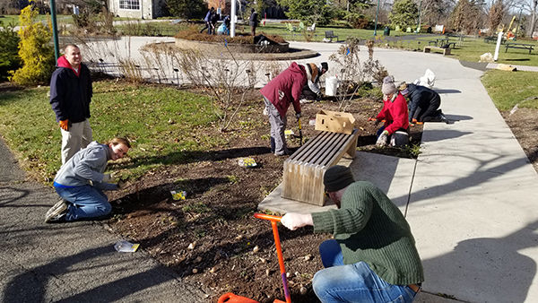 Volunteers plant bulbs in the Ambler Arboretum