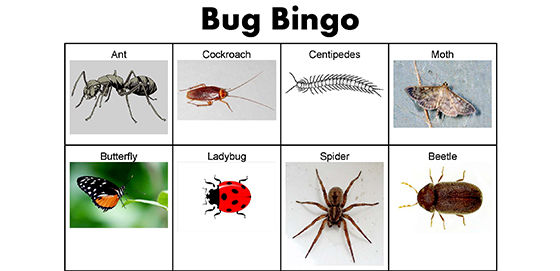 a bug bingo card with different scary bug in the squares