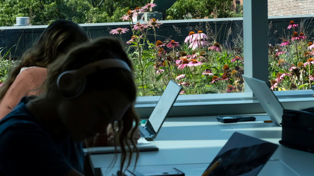 students working on computers in the foreground with flowers outside the window