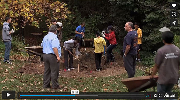 people examining a rainwater garden