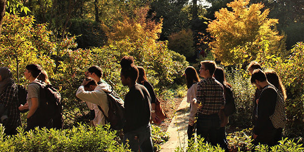 Students in the gardens