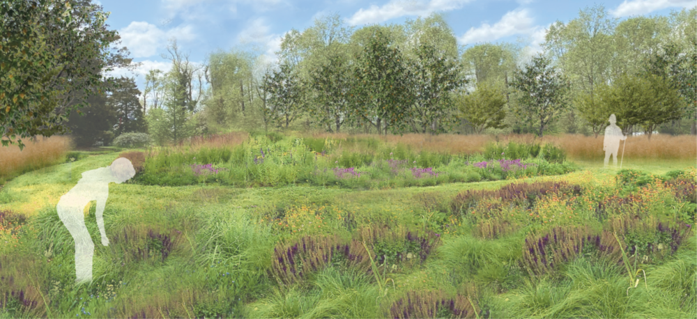 resiliant garden rendering