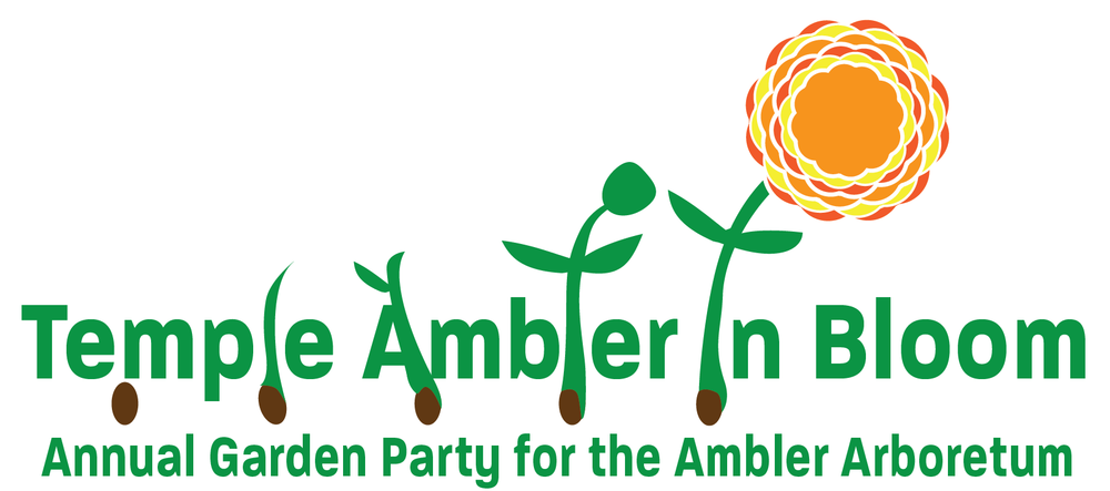 Temple Ambler in Bloom: An Annual garden party
