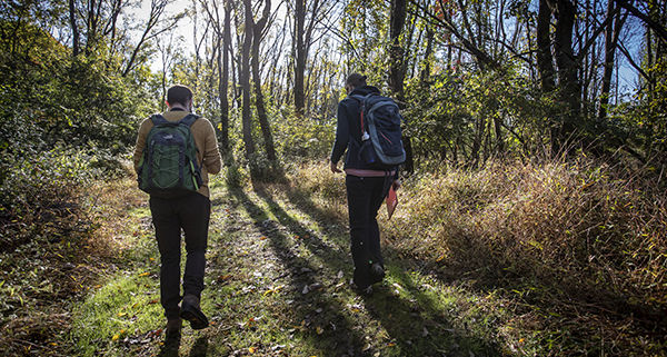 researchers walking on the woodland trails