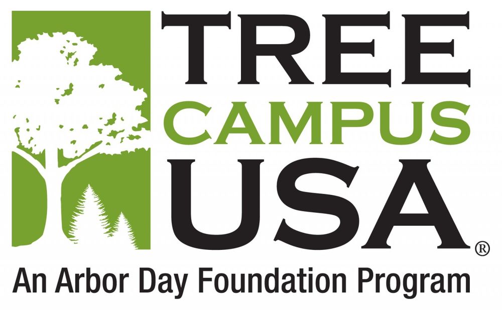 The Ambler Arboretum and Temple University Ambler have been awarded a “Tree Campus USA” designation by the Arbor Day Foundation since 2012