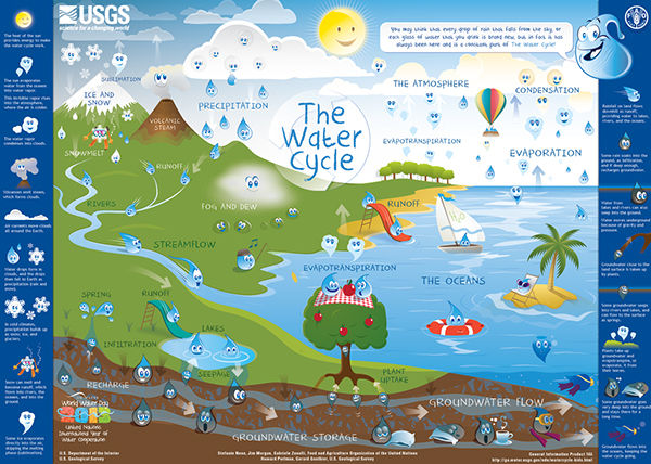 A graph of the water cycle. Water in the clouds falls to the ground as precipitation which travels in lakes and streams to the ocean where it evaporates back into the atmophere