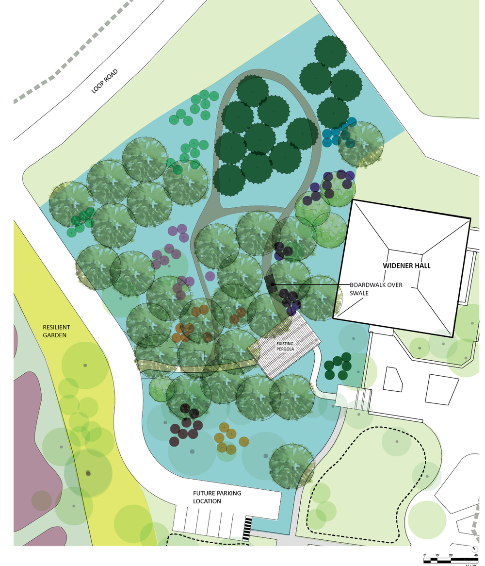 wetland garden plan