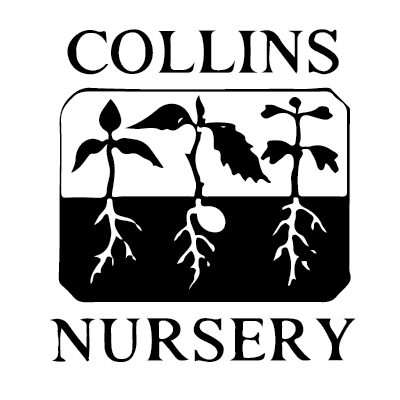 collins nursery logo