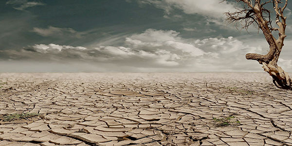 an image of drought ravaged mud flats, the ground is cracked