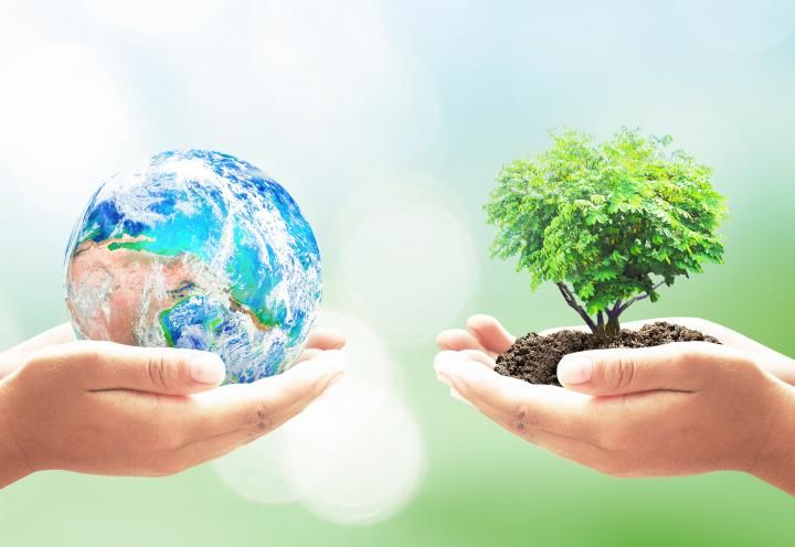 one hand holding a globe and another hand holding a small plant with soil