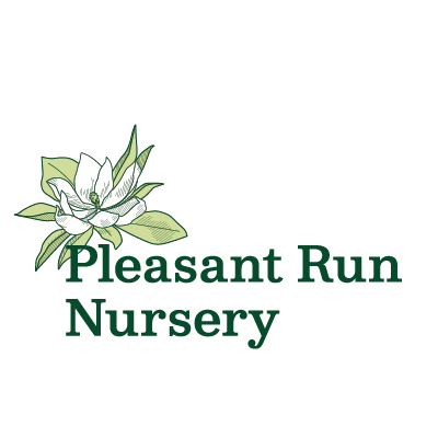 Pleasent Run Nursery Logo