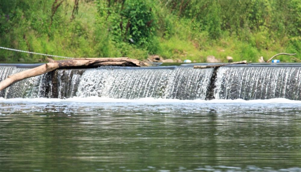 Tyler State Park