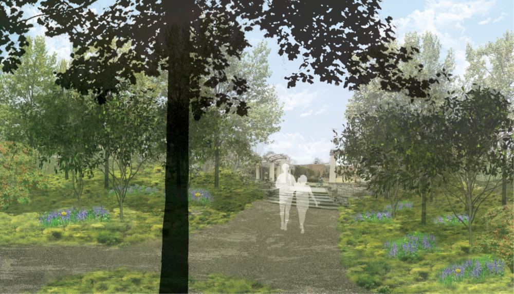 Another rendering of the woodland garden