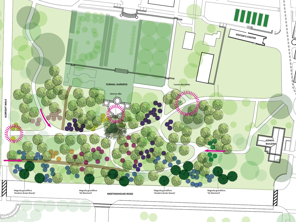 woodland garden plan