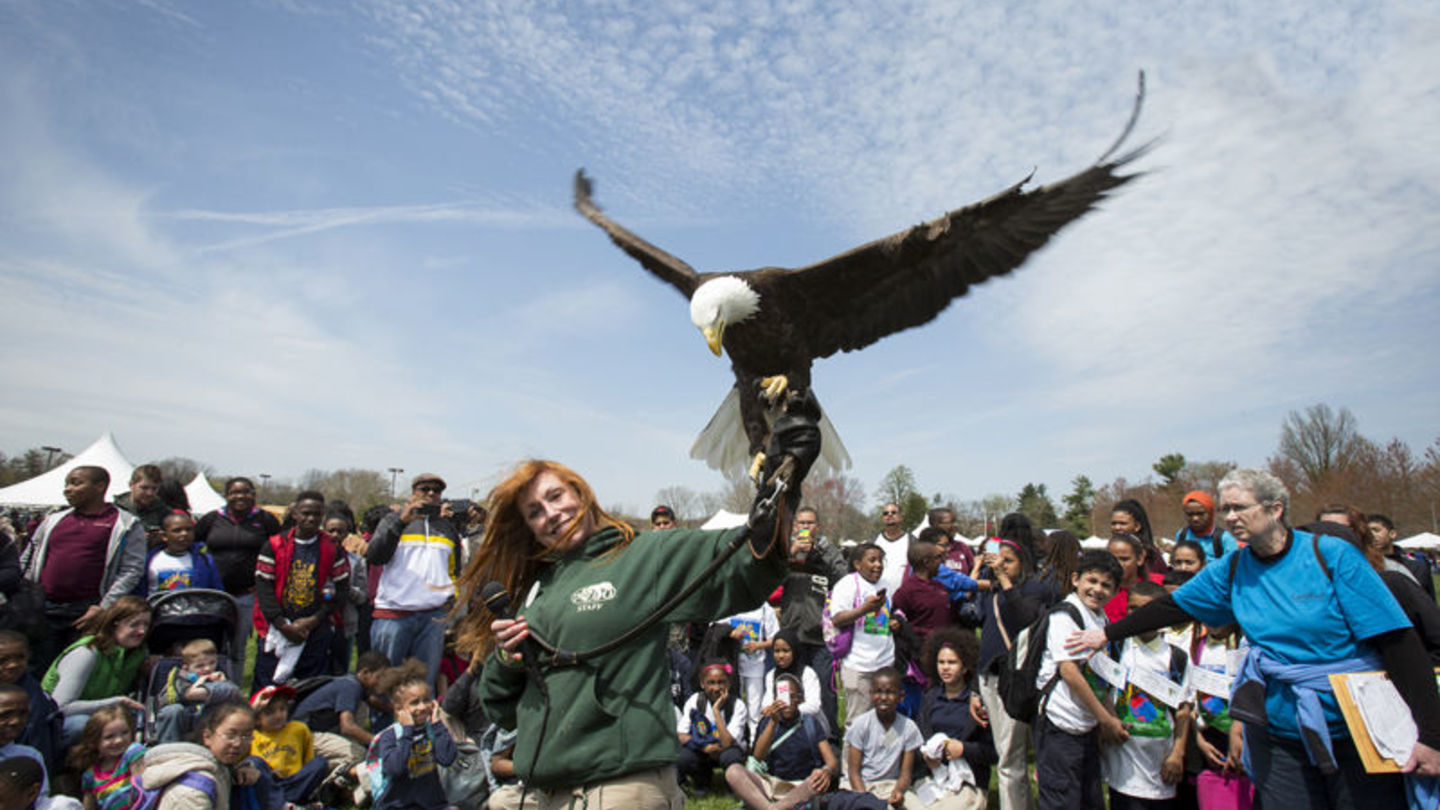EarthFest 2015 highlights environmental action, sustaining our communities