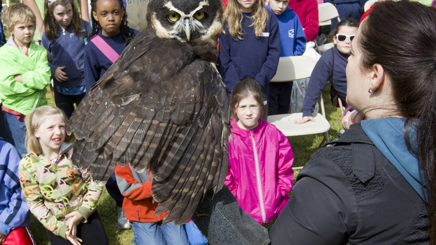 EarthFest 2014 highlights environmental action, sustaining our communities