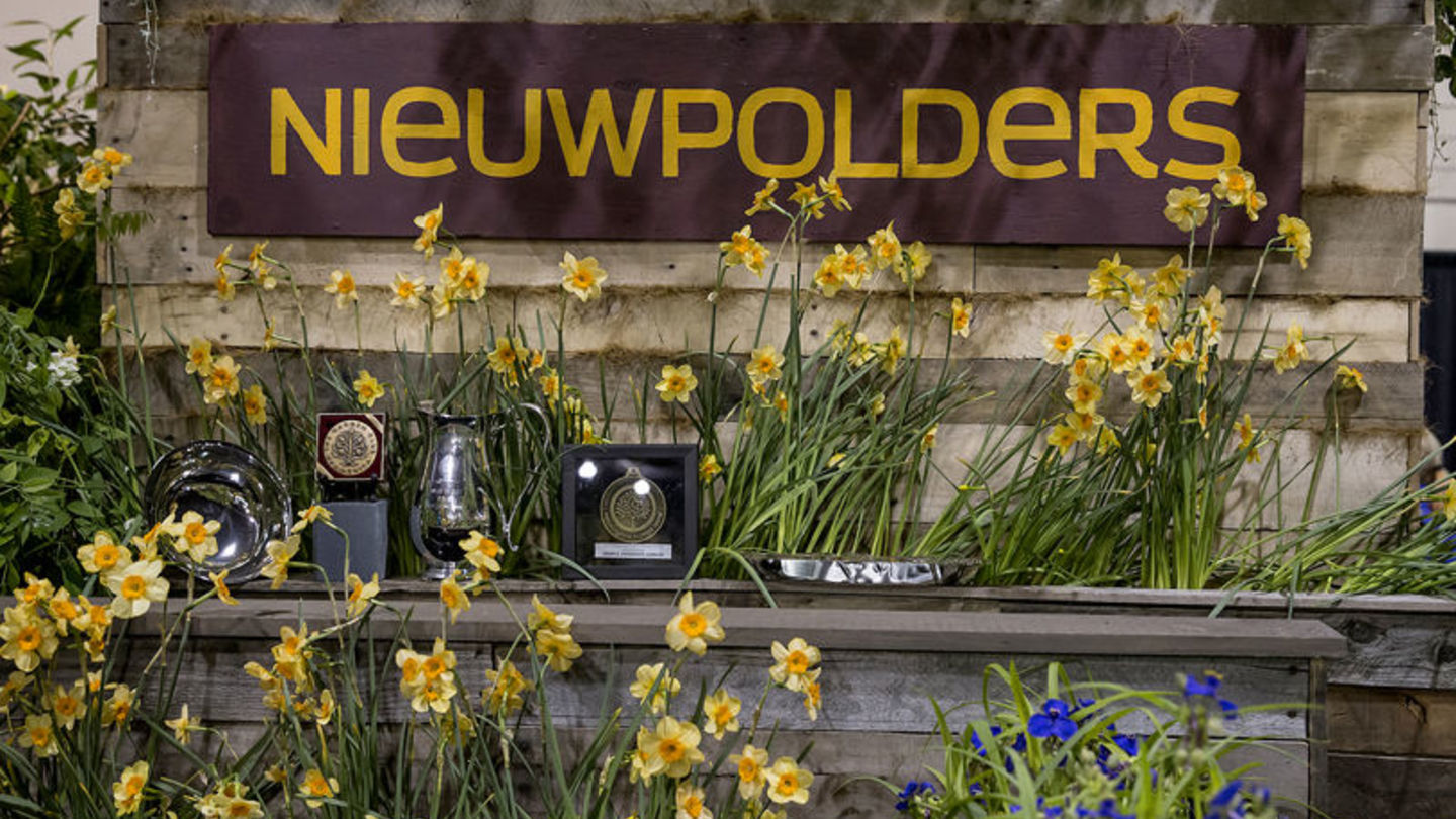 Nieuwpolders wins major awards at the 2017 Philadelphia Flower Show