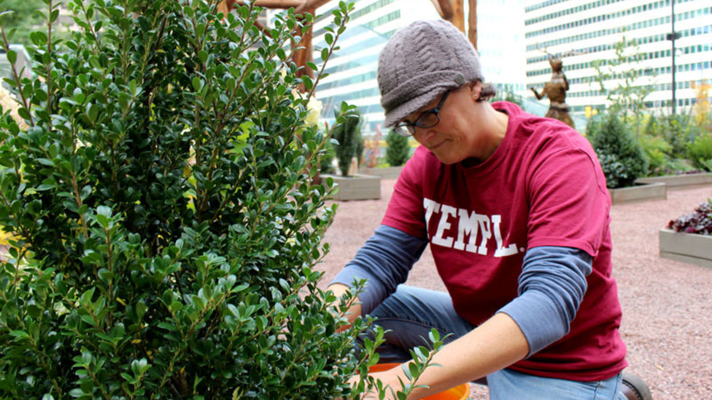 Temple helps create winter wonderland in the heart of Philadelphia