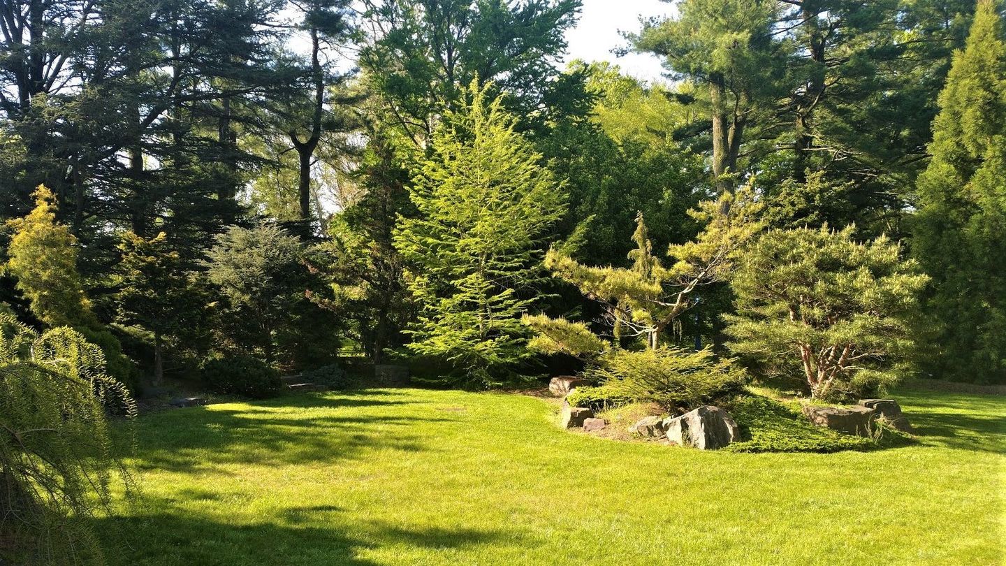 A view of the Colibraro Conifer Garden at the Ambler Arboretum of Temple University.