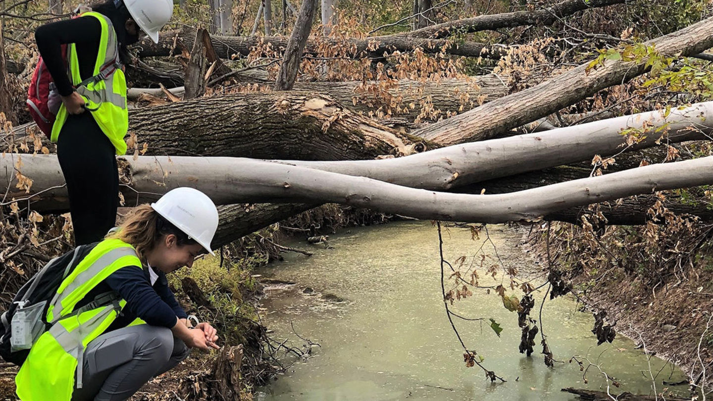 Research in the Temple Ambler Field Station