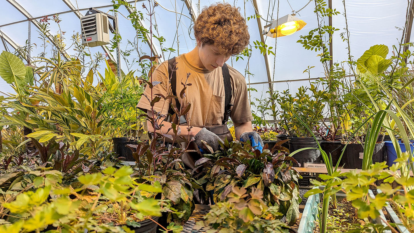 Students ready plants for the Philadelphia Flower Show