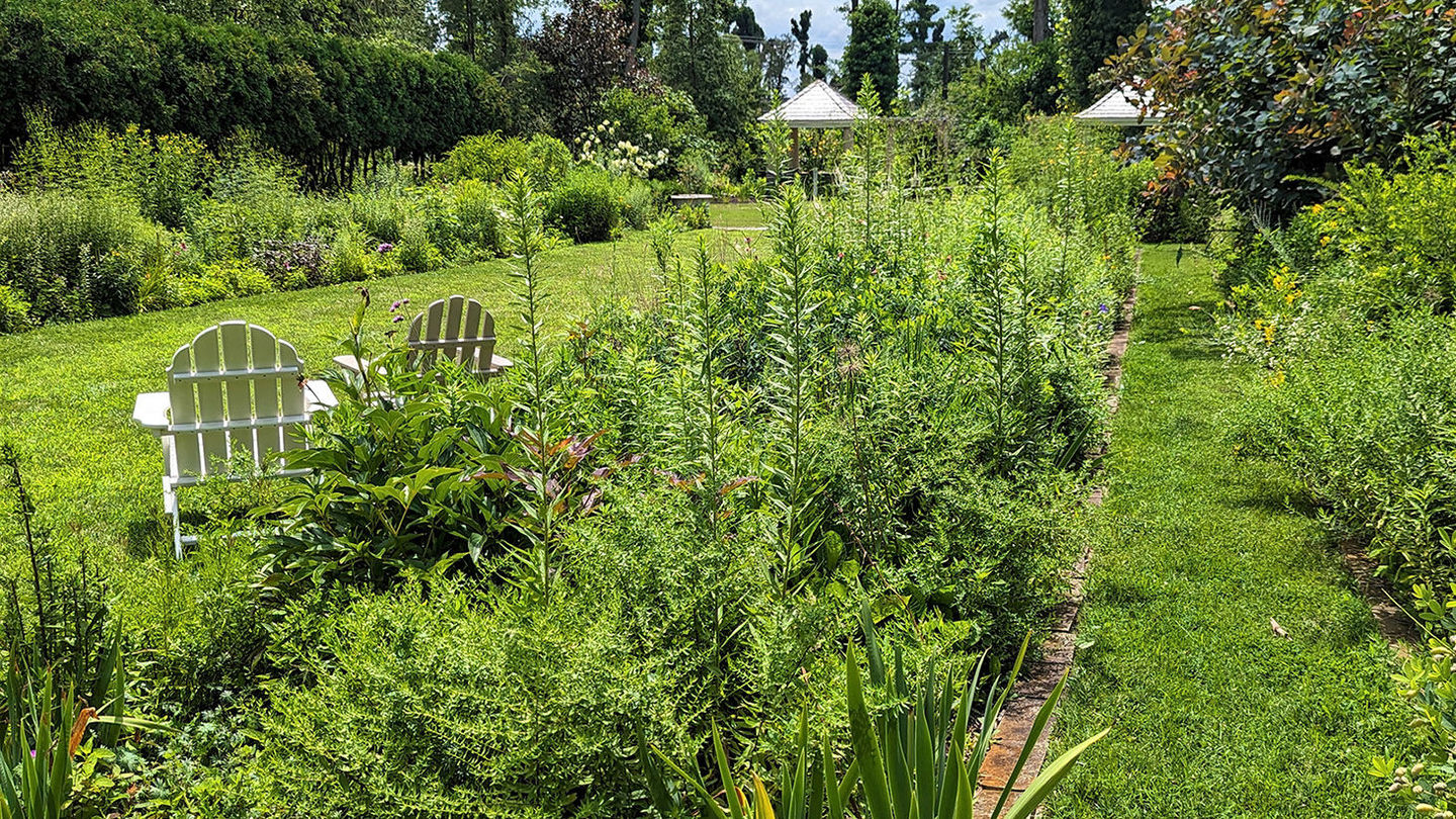 Recovery in the Ambler Arboretum